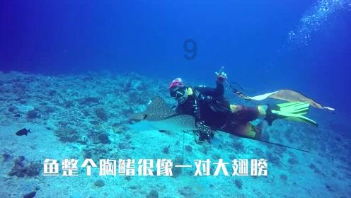 重医二院·宽仁医事丨女性碰上尿失禁?重医附二院国家级尿控盆底诊治中心来帮您